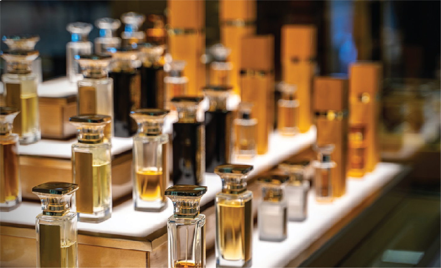 Asset-5@300x-100 Asset-5@300x-100